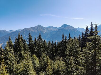 Photo de Lena Eder le long du parcours