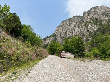 Karta