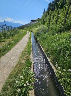 Foto von hannes.d entlang der Tour