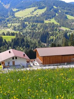 Ferienwohnung Hochholz