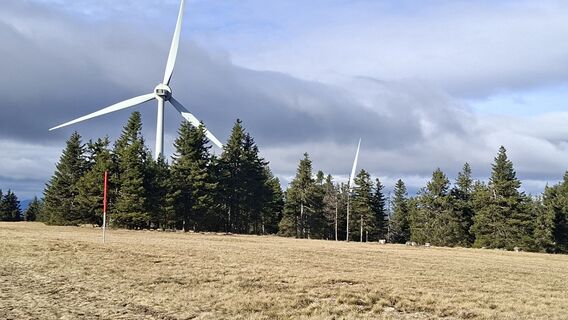 Fotografia z Horst Ditjo na trase