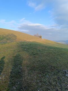 Fotografie de la Gabi H. 1 de-a lungul turului