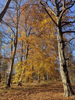 Photo de Mike Heinßmann le long du parcours