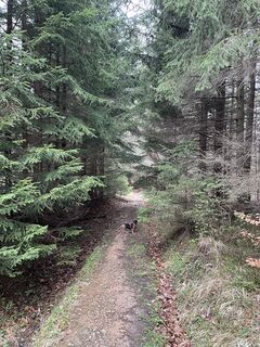 Foto von CarolineKlima entlang der Tour