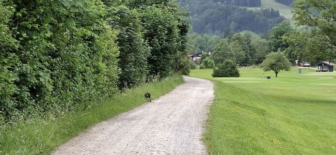 Photo de Stefan54 le long du parcours
