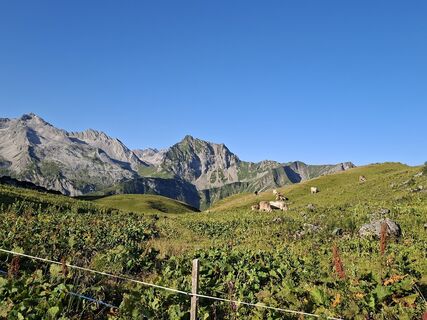 Photo de Karl-Heinz Martin le long du parcours