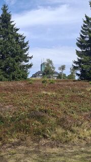 Photo de Torsten Sledz le long du parcours