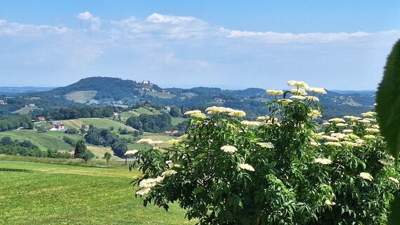 Foto von Susi Puhl entlang der Tour
