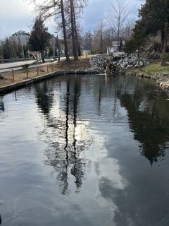 Fotografija s spletne strani Mónika Balogné na poti