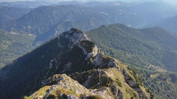Foto från WilliSt under resans gång