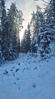 Foto von Toubsn entlang der Tour