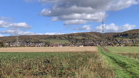 Photo de outdoor_rue le long du parcours