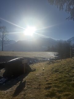 Fotografija s spletne strani Cedric Jetter na poti