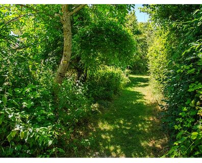 Chemin du Pastel