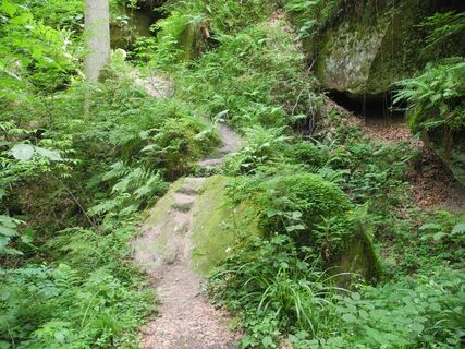 Idylle im Wald