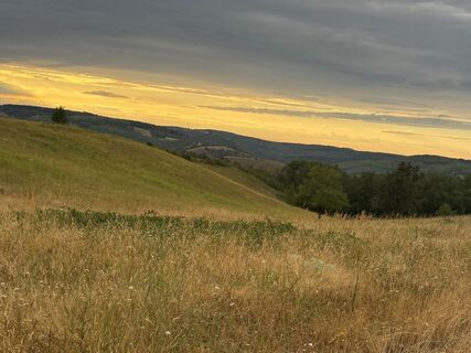 Photo de Reti Alicia le long du parcours