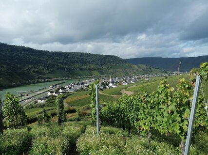 Photo de Eifeleddy le long du parcours