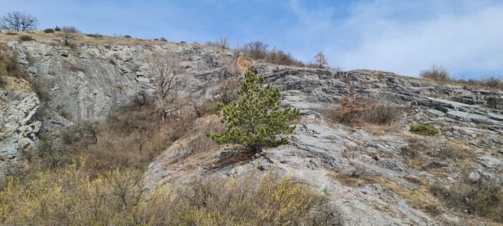 Foto von Tanjasusanna entlang der Tour