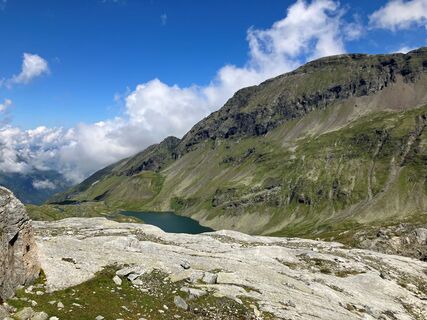 Langsee_NPHT_Nell.jpg