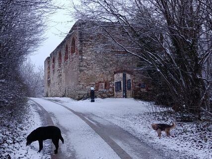 Fotografija s spletne strani Ralf Reiniger na poti