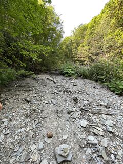 Fotografie z Leen Duytschaevers na trase