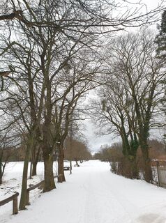 Fotografia z Georg B. Meier na trase