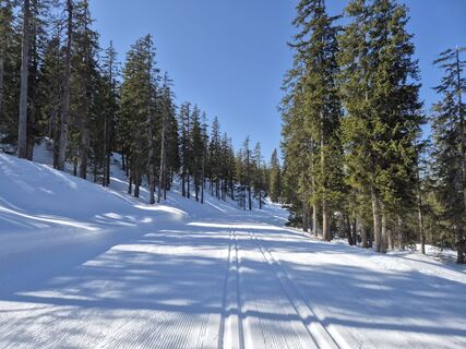 Fotografija s spletne strani Brigitta Madár na poti