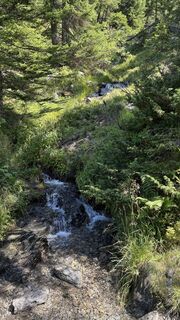 Foto von Florian Meyer 1 entlang der Tour