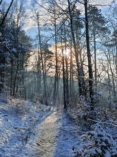 Foto de Ralf Reiniger a lo largo del recorrido