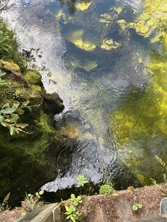 Fotografia z Martin Huber na trase