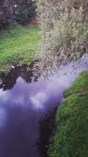 Fotografia z Libor Matas na trase