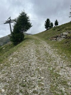 Zdjęcie z Teresa Zügel wzdłuż trasy