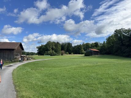 Foto da Denise Miller lungo il tour