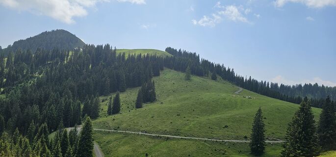 Photo de Nico le long du parcours
