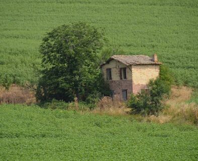 Weinberghütte