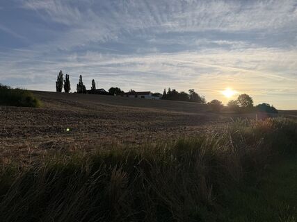 Foto von Schaali entlang der Tour