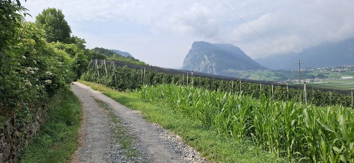 Foto de David Bubenheim a lo largo del recorrido