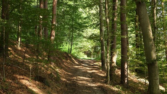 Heldenkreuzweg (c) MG Laßnitzhöhe (6).JPG