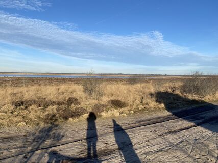 Foto de Marianne2603 a lo largo del recorrido