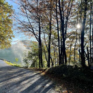 Freithofberg-Trail - Maria Neustift