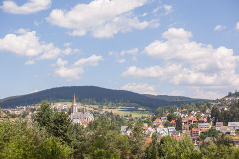 Neustadt Ortsansicht