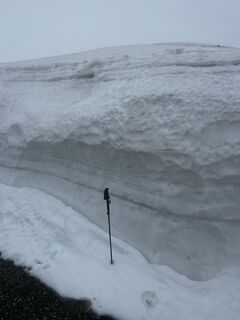 Foto von Schabsi entlang der Tour