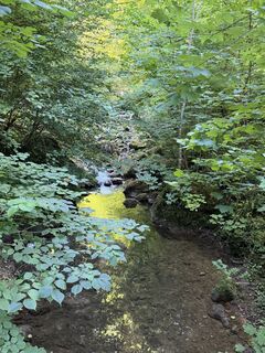Foto von Astrid entlang der Tour