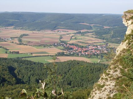 DSCI0277.JPG