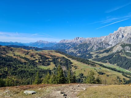 Photo de Moro le long du parcours