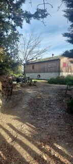 Foto de Enzo 1 a lo largo del recorrido