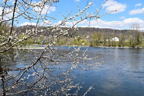 koblenz-blueten-am-rhein