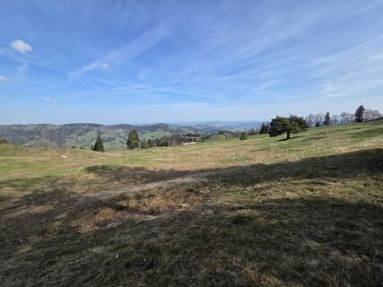 Zdjęcie z Sven wzdłuż trasy