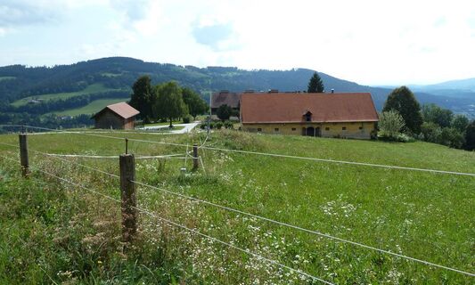 Außenhof Reinthaler