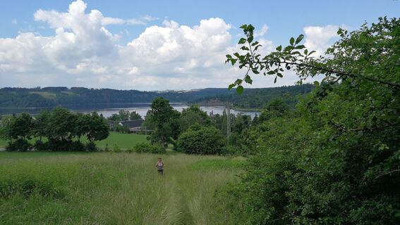 Rund um den Kulm bei Saalburg